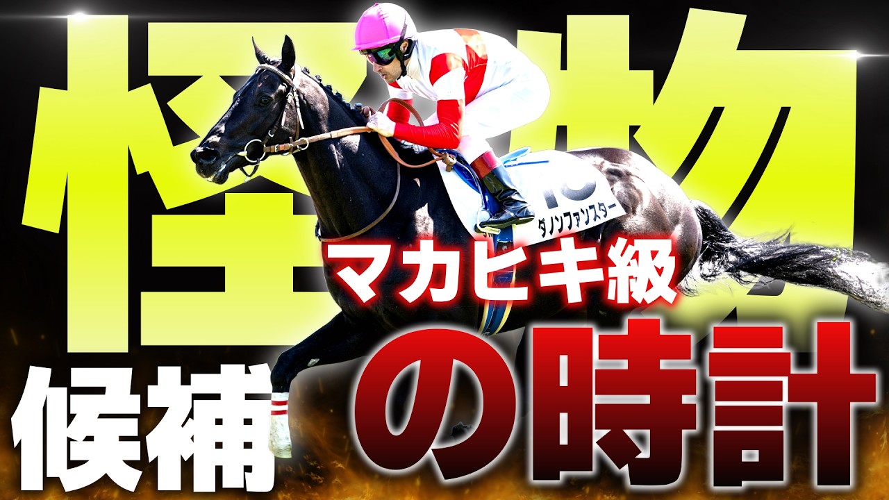 【限定品】ホースレーシング2019　ダノンレジェンド  GⅠ勝ダノンキングリー兄 Monster Prospect] The 176 Million Yen Thoroughbred That Clocked a
