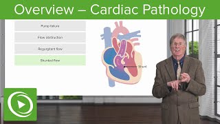 Visao geral Patologia Cardiaca Lecturio