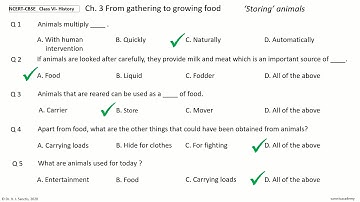 NCERT CBSE History Class 6 Chapter 3 