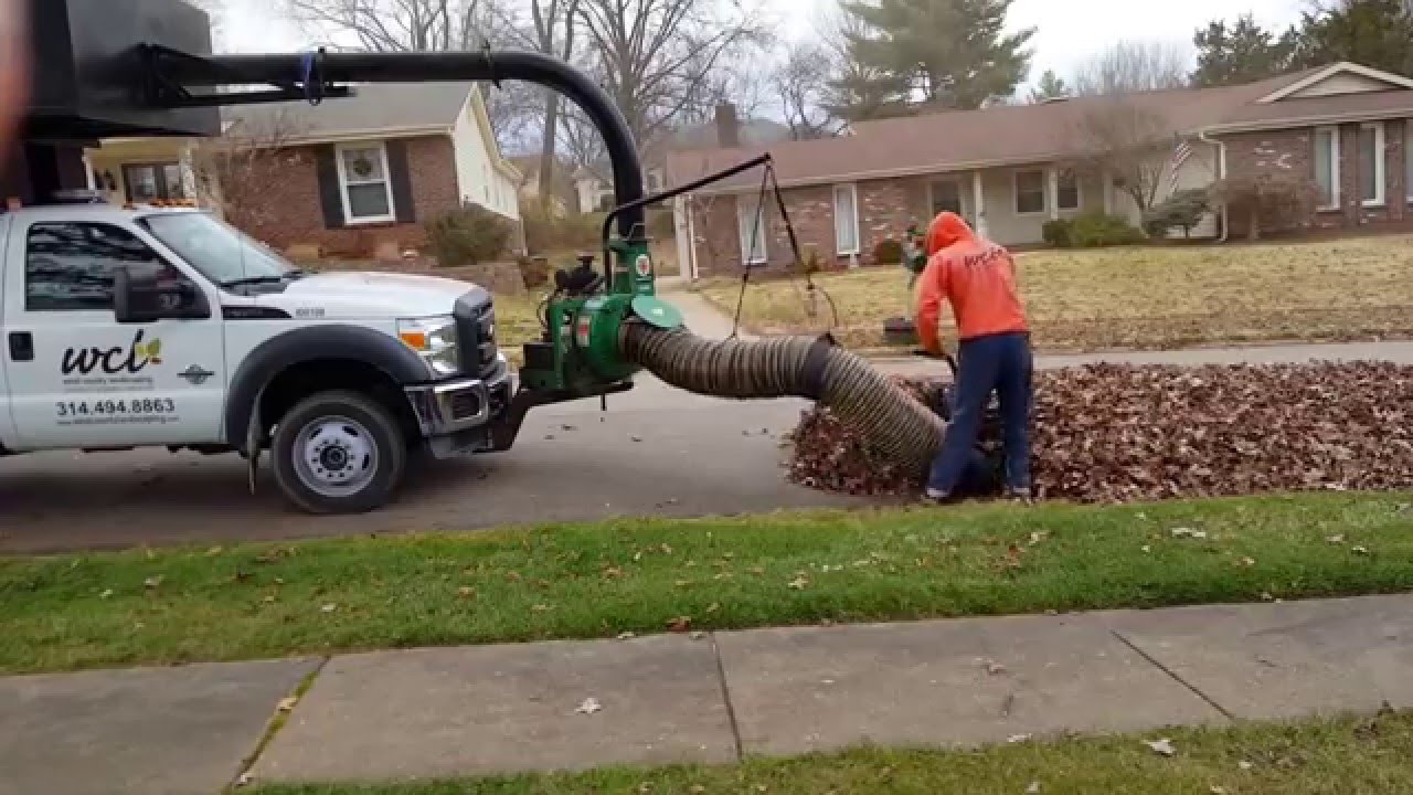 How to Dispose of Leaves, Leaf Removal Tips