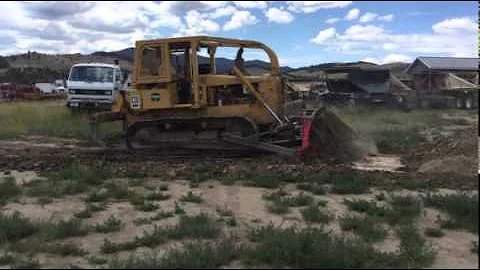 1977 CATERPILLAR D5B For Sale