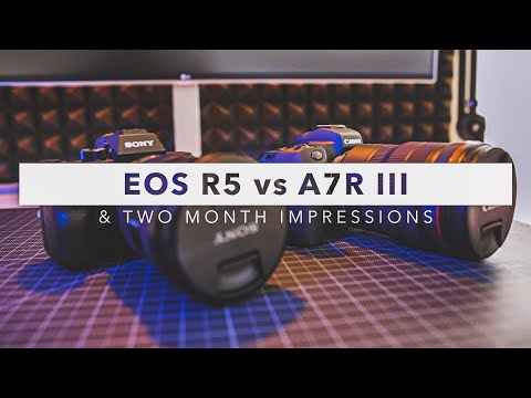 Canon EOS R5 vs Sony Alpha A7R III