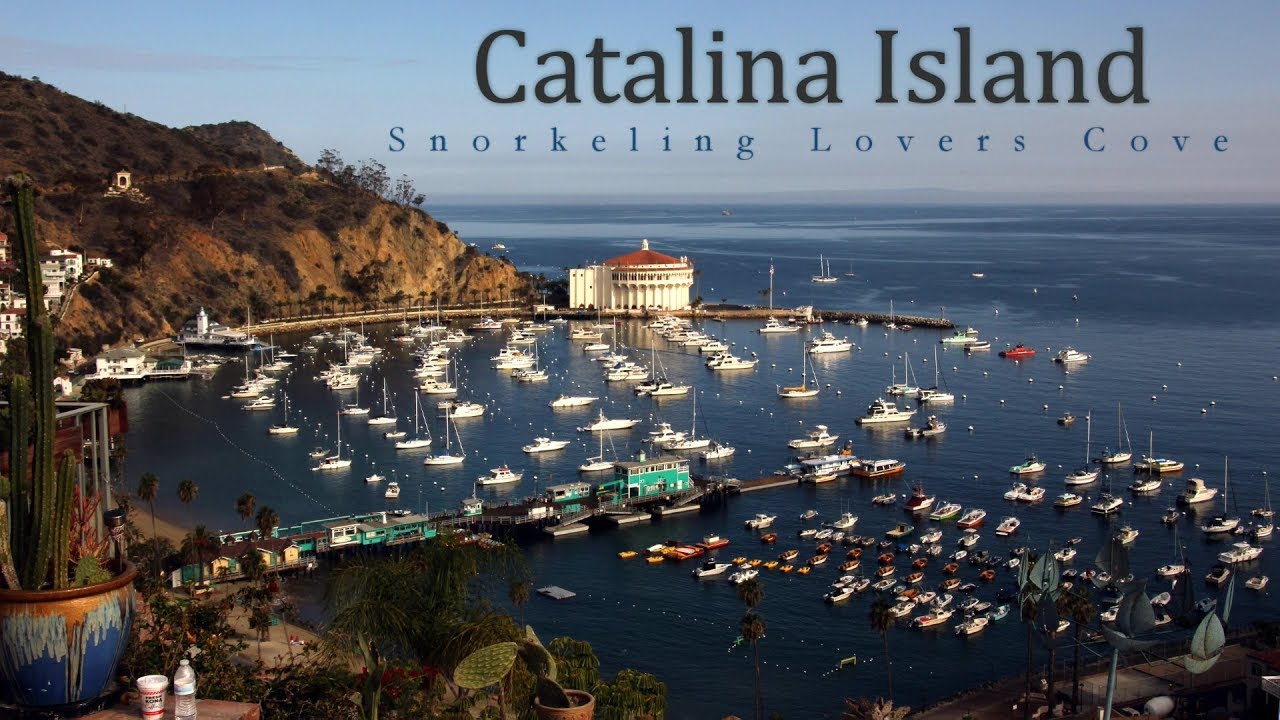 Catalina Island, California Snorkeling at Lover's Cove YouTube