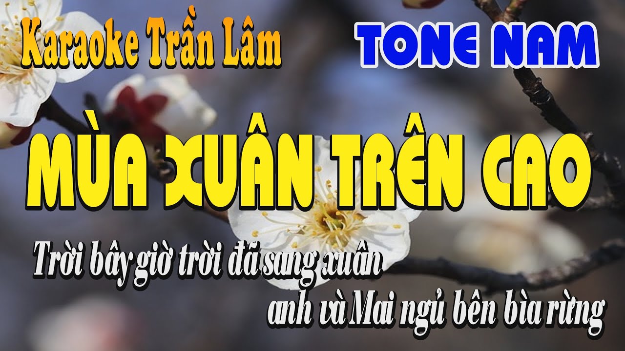 Karaoke  Mùa Xuân Trên Cao Tone Nam | Trần Lâm