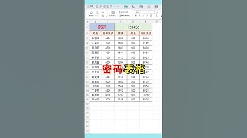 密码表格 学会做一个带密码的表格，保护数据！#excel #表格 #办公技巧 #文员 #0基础学电脑