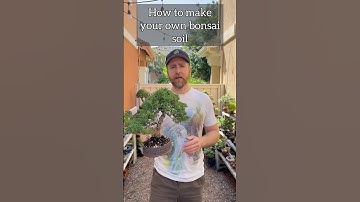 How to make your own bonsai soil #bonsai #bonsaitree #plants #beginnerbonsai #howtobonsai #garden
