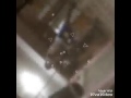 زهير البهاوي تسلا ليا الصولد حصريأ