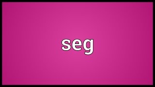 Seg Meaning