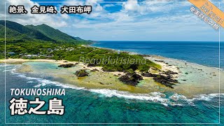 奄美群島の旅５　徳之島を周遊、金見崎ソテツトンネルの先に広がる絶景‼︎犬田布岬も美しい Tokunoshima VLOG