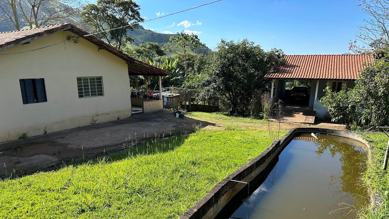 🏡Chácara das frutas de 7 mil mts em Cambuí MG com ESCRITURA/ 2 casas e muito mais🥹Assista