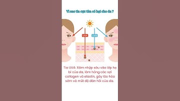 Vì sao tia cực tím có hại cho da ? #kienthuc #baihoccuocsong #shorts #science