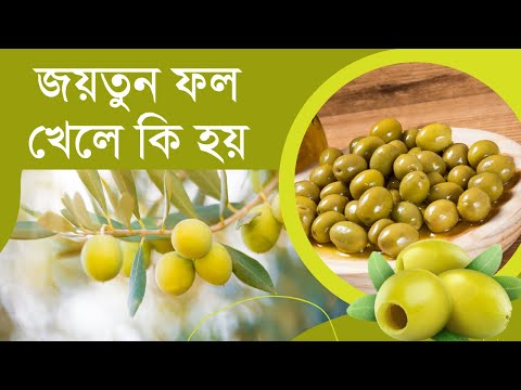 ভিডিও: মন্টানায় কি জলপাখি পাওয়া যায়?