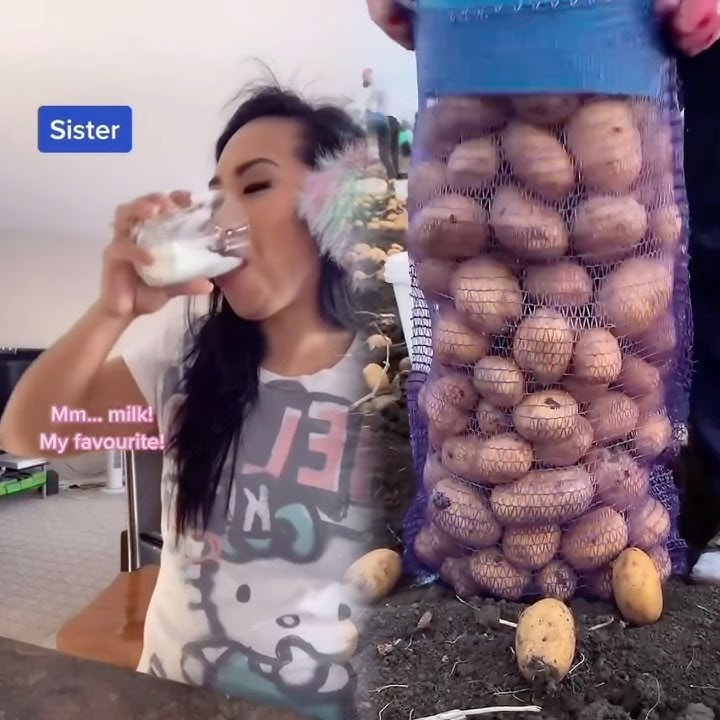 Always someone else’s mess.. #brotherandsister #kidsbelike #lifewithkidsbelike