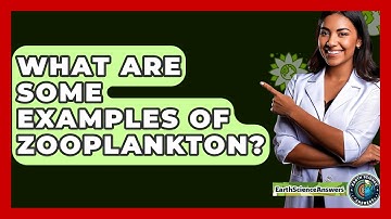 What Are Some Examples Of Zooplankton? - Earth Science Answers