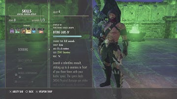 Warden/Templar/Sorcerer PVP Build ESO