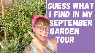 September Tour: My El Paso, Texas Backyard Garden Veggies & Flowers that Grow in the Desert