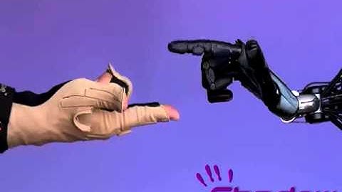 CyberGlove Systems ShadowRobot 1
