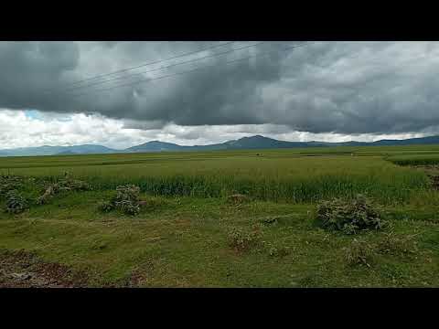 Qamadii Baddaa Baalee