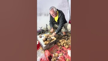 Nhặt được viên đá lạ    #ring #ruby #trending #xuhuongyoutube #gemstone #food #funny