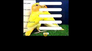 validation Form  with JavaScript ( registration form) Urdu Hindi