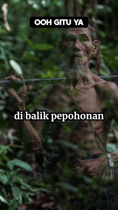 Suku Dayak Punan, manusia gaib penjaga rimba Kalimantan #faktaunik #nusantara #sukudayakkalimantan