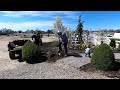 Digging Up & Moving Two Very Established Boxwoods! 😬🌿🙏 // Garden Answer