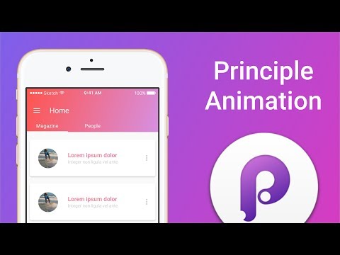 Principle Easy Animation Scroll UP&DOWN - UI/UX