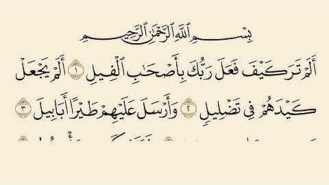 قراءة نجدية .سورة الفيل  .من صلاة التراويح رمضان ١٤٤٥هجري 
