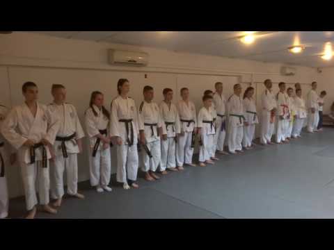 Klub realnog aikidoa i jujutsu Novi Sad Polaganje za zvanja jun 2017 III i IV grupa odrasli 30/30