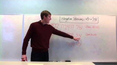 The Negative Particles - לֹא and אַל Part 2