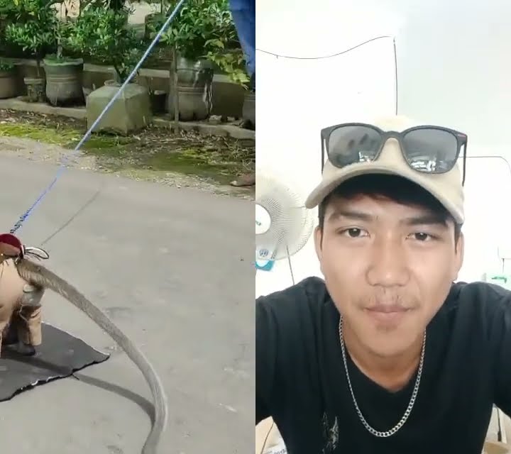 Topeng monyet 🐒#public #topengmonyetlucu #shortvideo