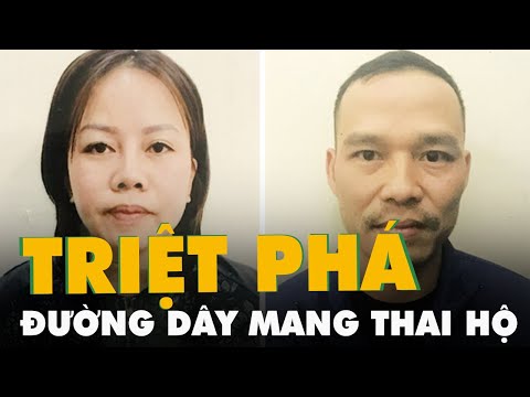 Video Phá đường dây mang thai hộ giá gần 800 triệu đồng - youtube