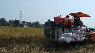 Kubota DC93 Lewati Galengan Sawah Saat Bekerja