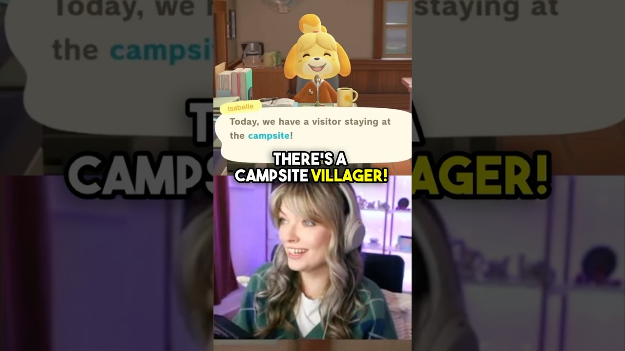 Update day campsite villager in Animal Crossing: New Horizons...