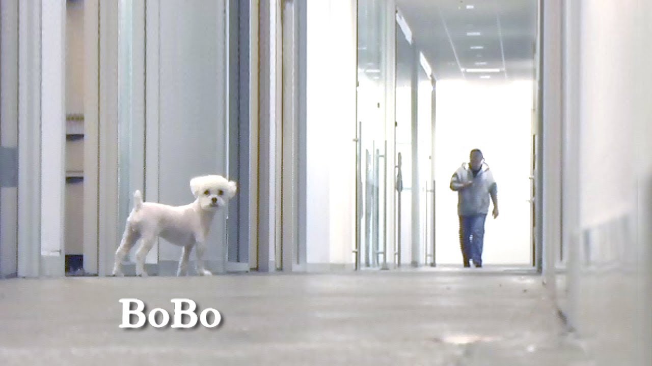 DoubleParker.com Presents: Bobo