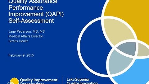 Quality Assurance Performance Improvement (QAPI) Self-Assessment