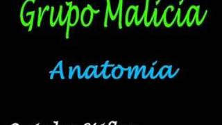 Grupo Malicia - Anatomia chords