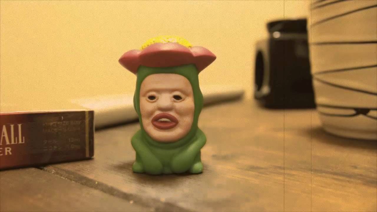 こびとづかん リトルハナガシラ Youtube