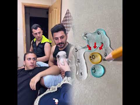شو رئيكم بأسم القط نبع الحنان صفو النيه اكسبلور فولو لايك زيكو والزير سلطانة نبع الحنان احب 