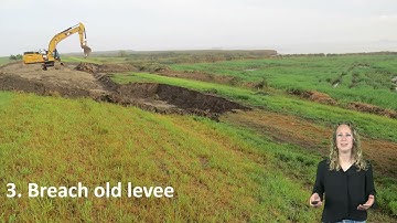 Managed Realignment - controlled relocation of a flood defence