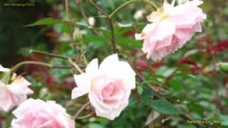 Download Lagu Just walk away 🧡 Best relaxing piano, Beautiful Piano Music   City Music MP3