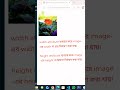 HTML Width, Height, Border & Title Explained