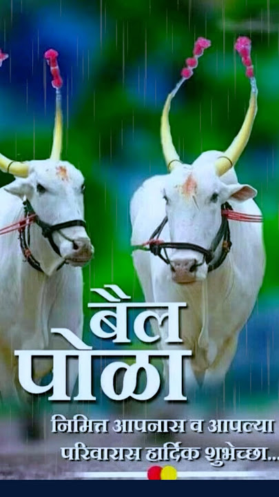 Bail pola status 2025 | bail pola songs | pola status | बैल पोळा स्टेटस #shorts #songs #bailpola