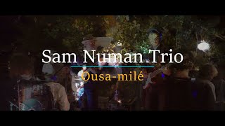 Sam Numan Trio- \