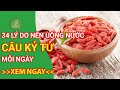 34 Lý do nên sử dụng trà câu kỷ tử mỗi ngày