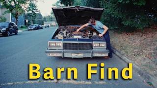 Career Overview Pulled this Buick from the woods! Is it worth saving? 