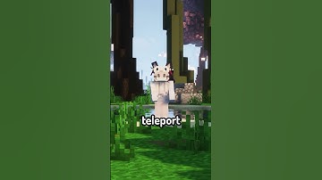 This Is Why You Need to Join the Cat Craft SMP! #survival #shorts #minecraft #minecraftserver