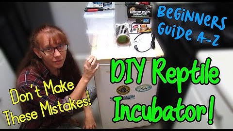DIY Reptile Incubator Build! | Homemade Ball Python Egg Incubator | Common #Incubator Mistakes
