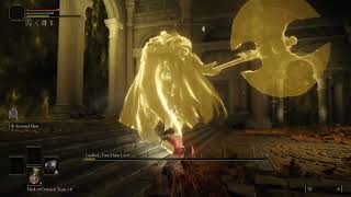Godfrey, First Elden Lord (Golden Shade). No Hit, Level 1 - Sierra | Elden Ring
