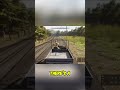 Hotwired Car, Hit a Deer! Zombie Apocalypse Style! VEIN Gameplay #shorts